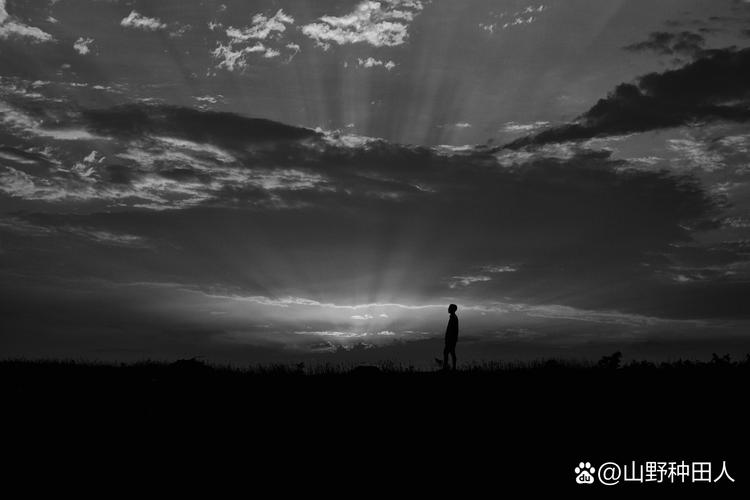 孤寂的灵魂 第1张 孤寂的灵魂 第1张