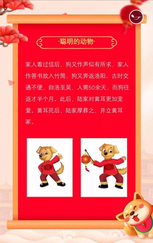 狗年说狗  第1张