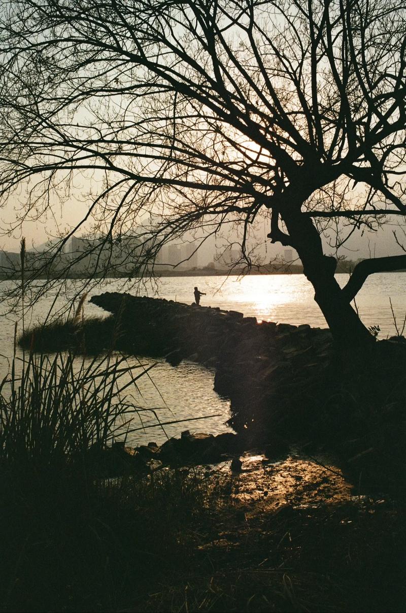 走在思蒙河的萧瑟里  第1张