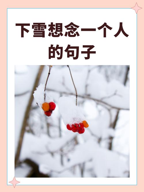 雪中的思念  第1张