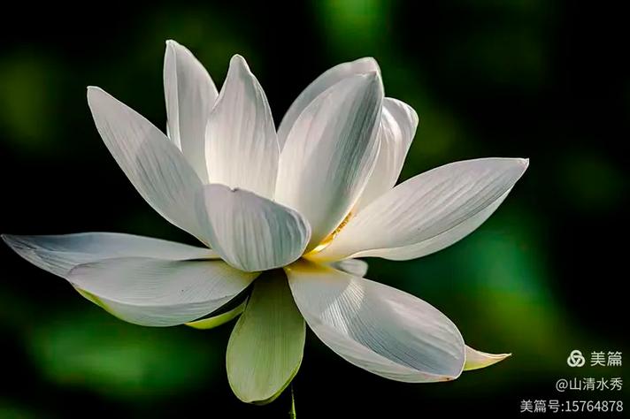 步周邦彦望江南韵  第1张