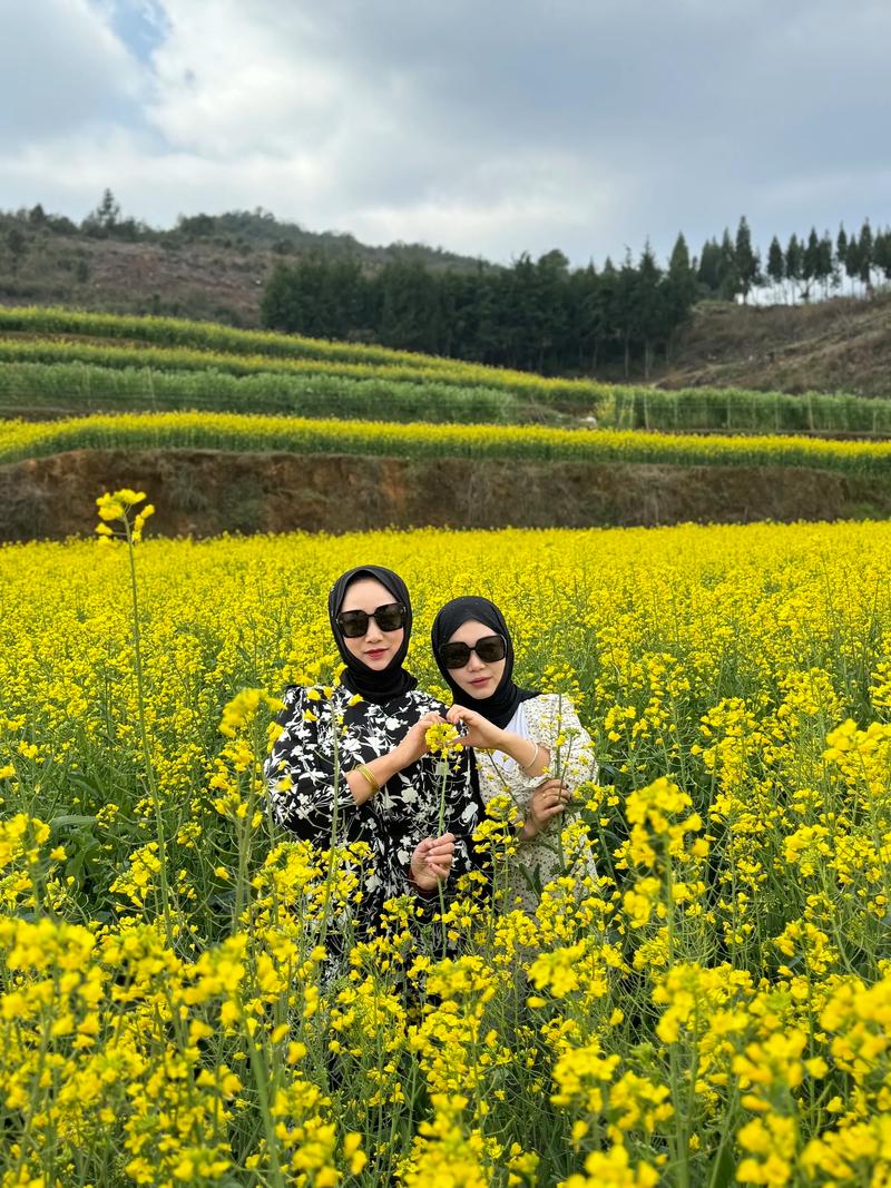 拥抱春天  第1张