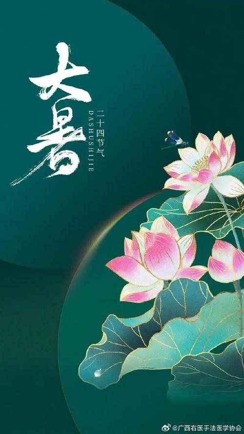 大暑童心  第1张