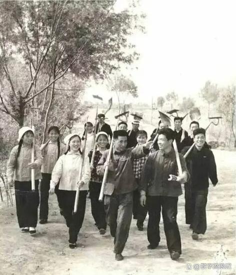 生产队长  第1张