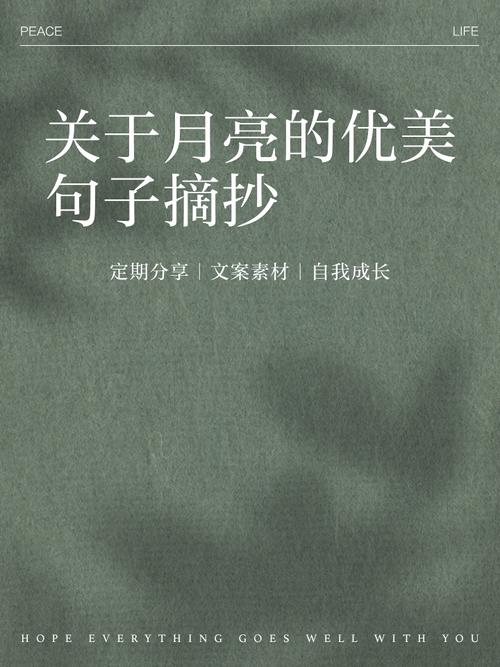 掬一缕月光，裁一绢温柔的心事  第1张