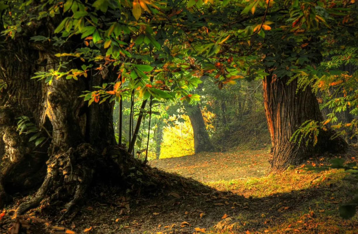 风景深处  第1张