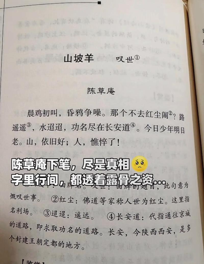 天中子.山坡羊一.花黄时候  第1张