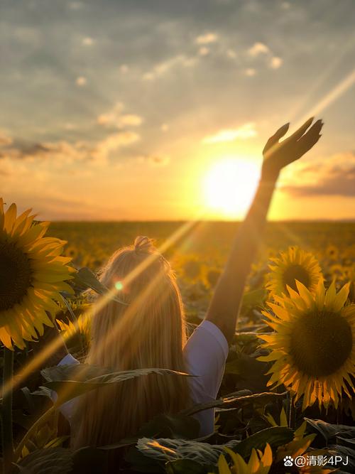 给生命阳光让青春恣意生长  第1张