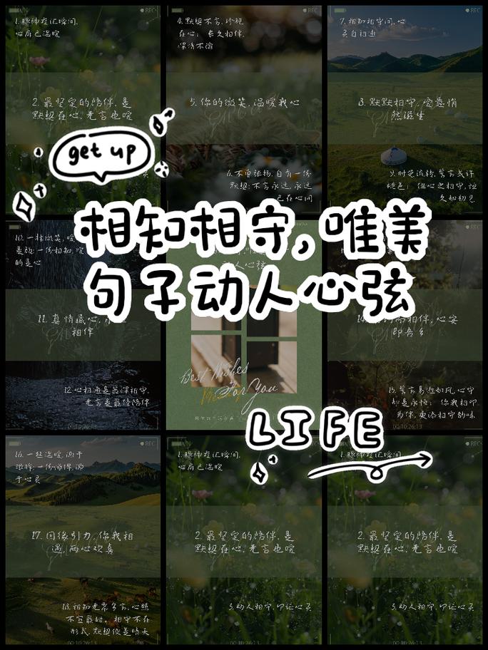 一份永远无法相守的情  第1张