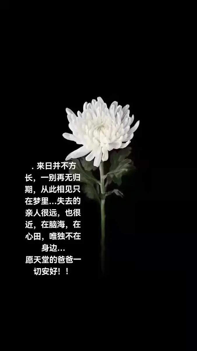 有多少怀念，值得用心追思  第1张