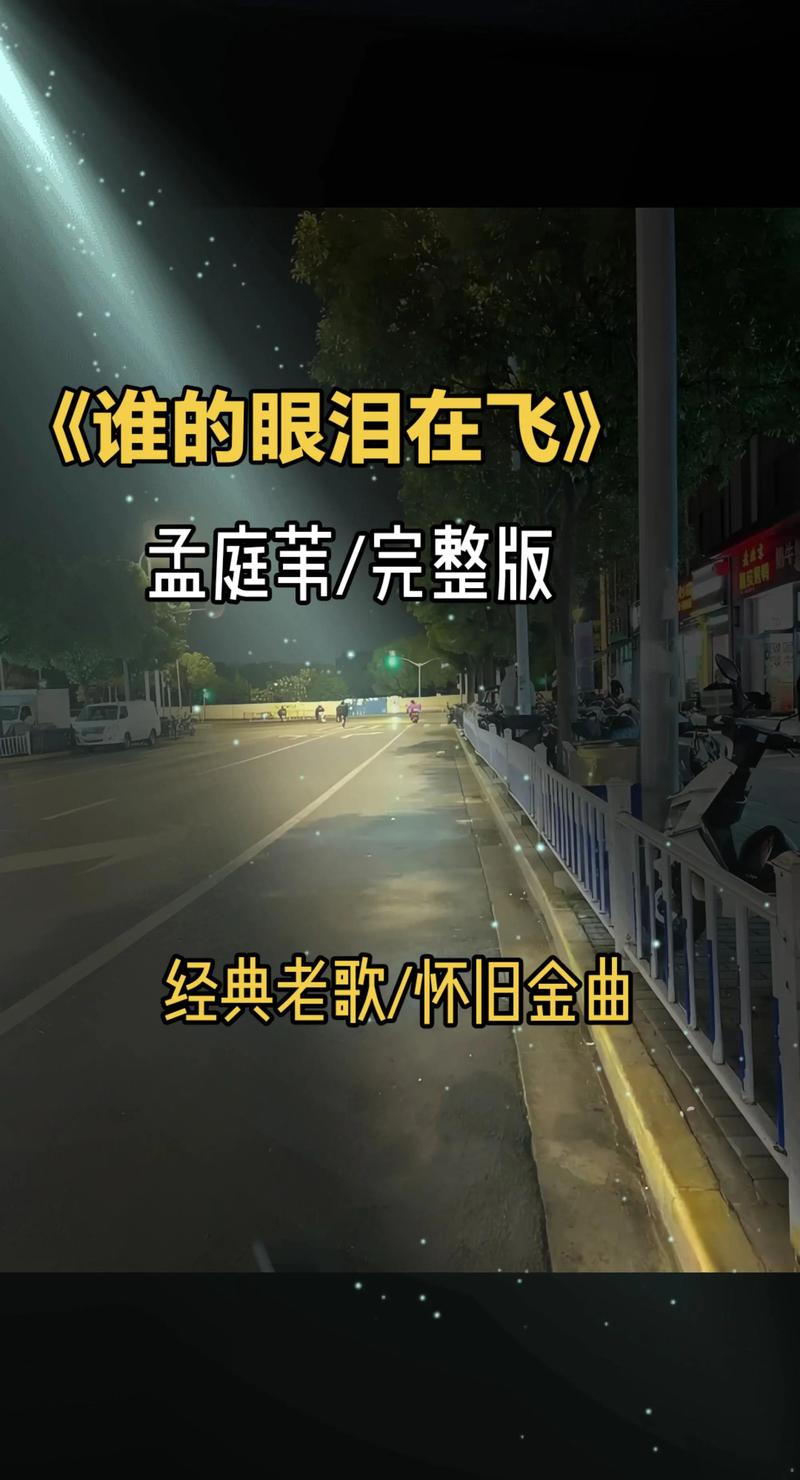 谁的眼泪在飞  第1张