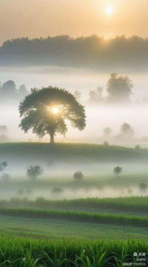 薄雾蒙蒙  第1张