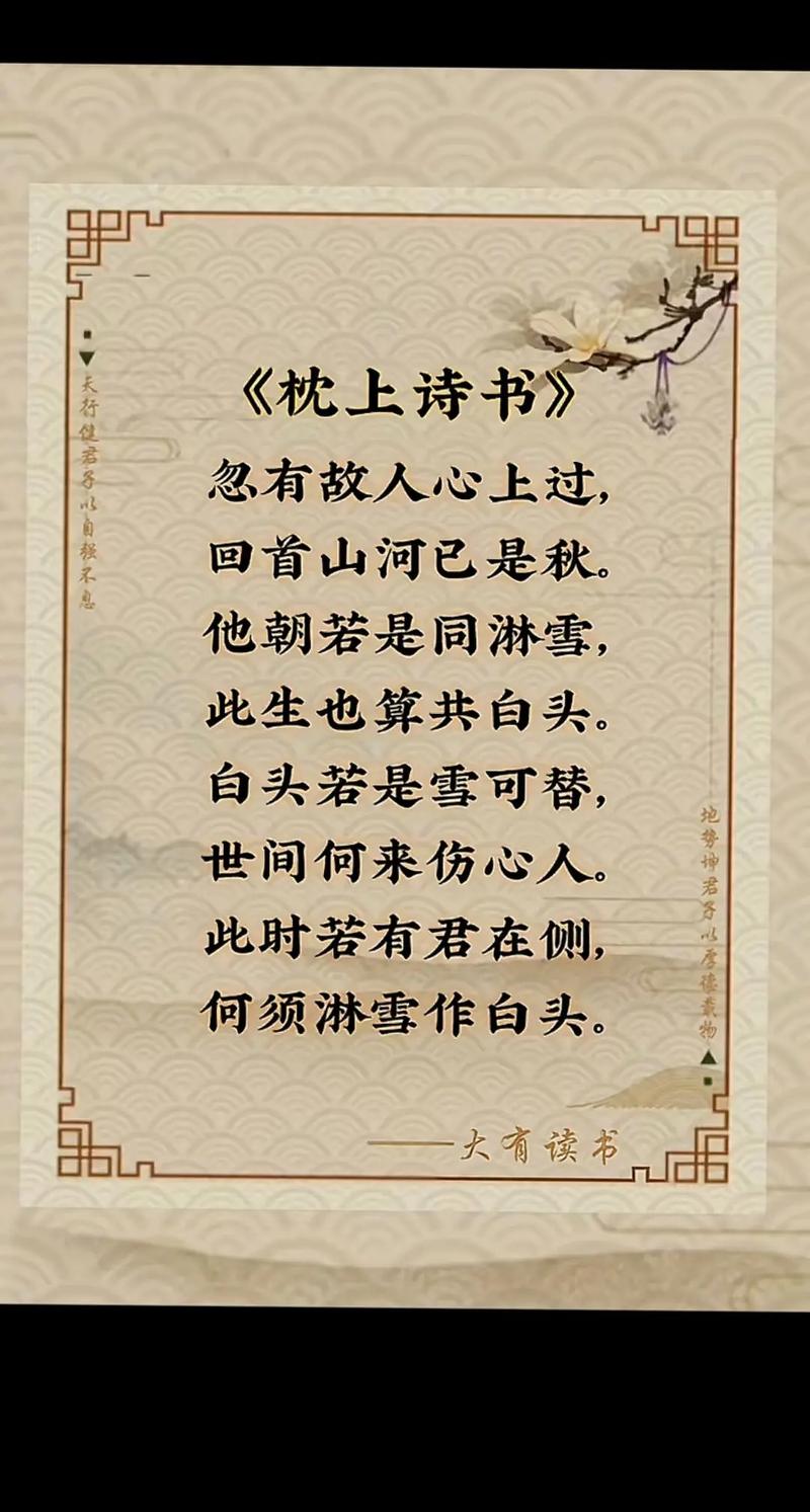 白首共凭窗  第1张