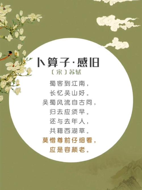 卜算子  有感 第1张