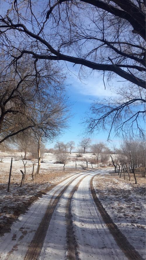 故乡的冬 第1张 故乡的冬 第1张