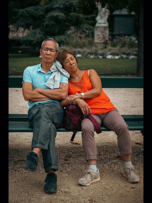 相睹的太早  第1张