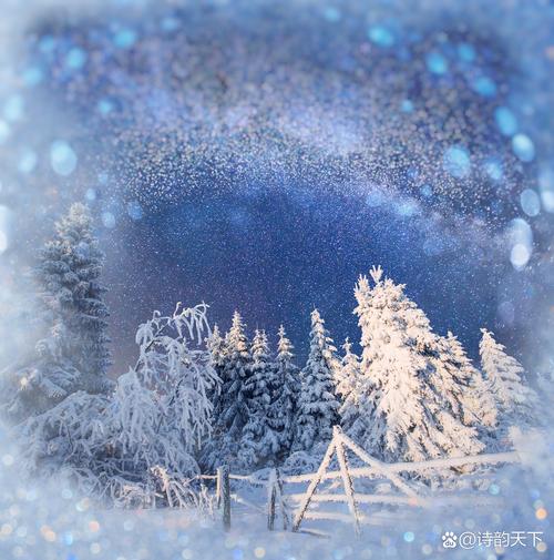 雪花大自然的一场梦 第1张 雪花大自然的一场梦 第1张