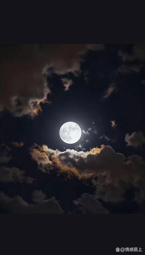 今夜，月又圆了  第1张