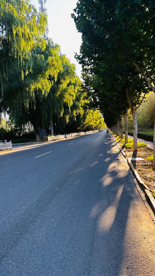 清新的早晨  第1张