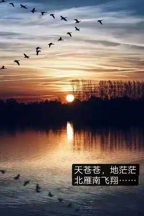 高天归兮  第1张