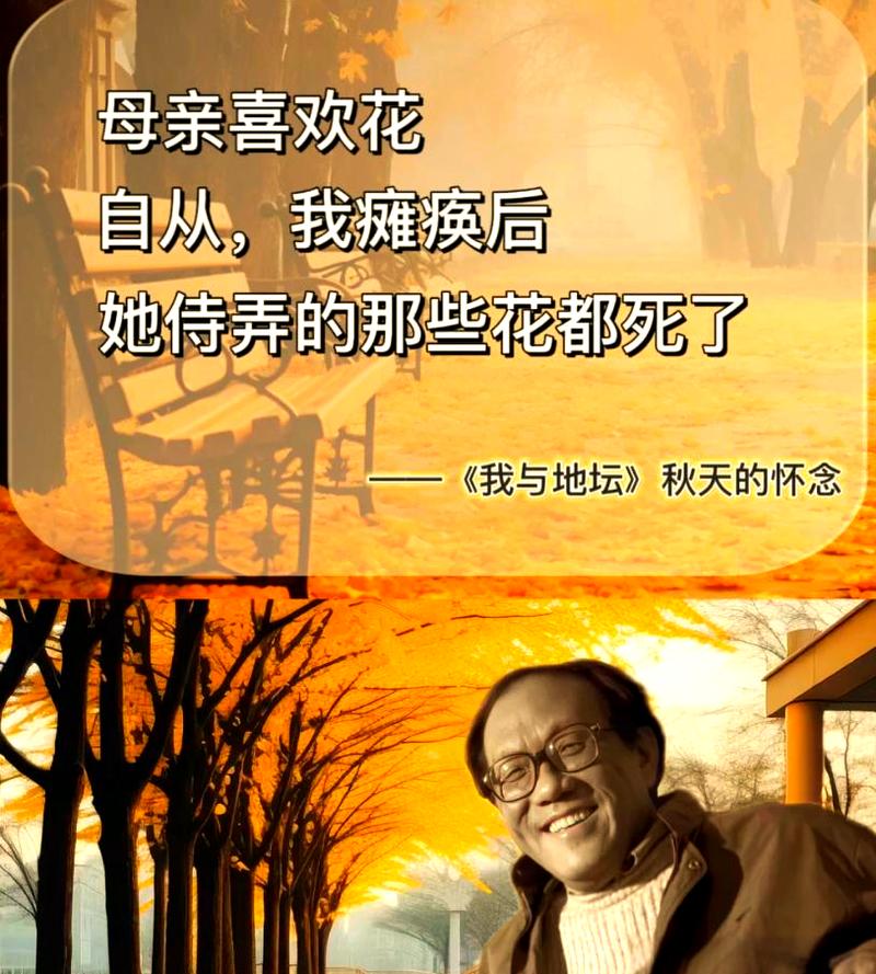 秋天的怀念  第1张