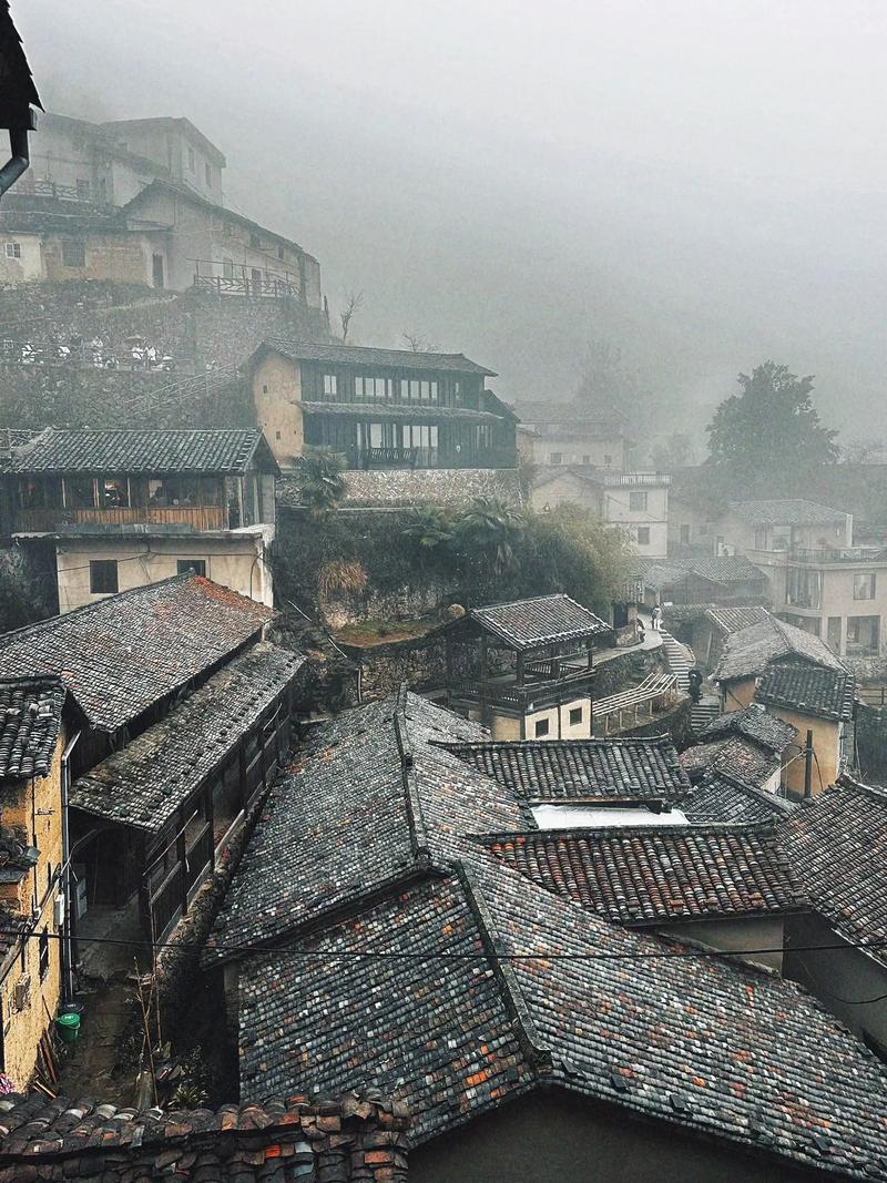 二月的村庄  第1张