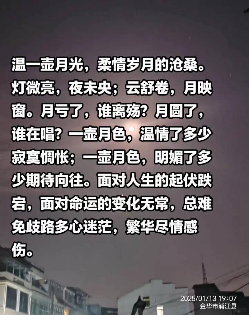 月色清寒,无人懵懂的忧伤  第1张