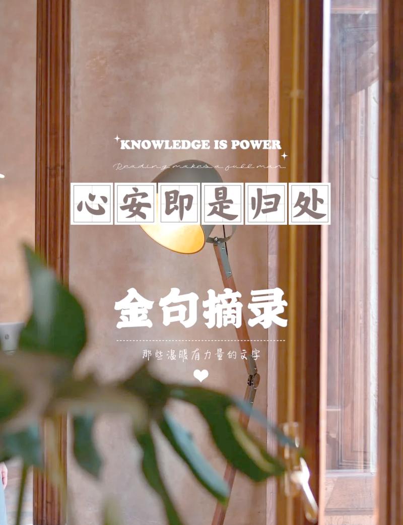 物语心安  第1张