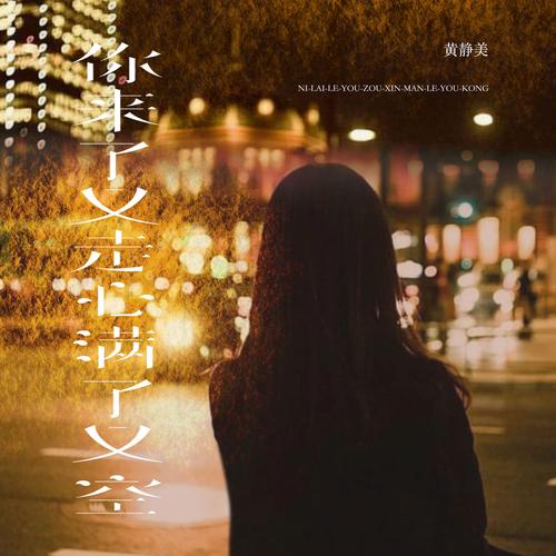 音乐还在继续，人却散了  第1张