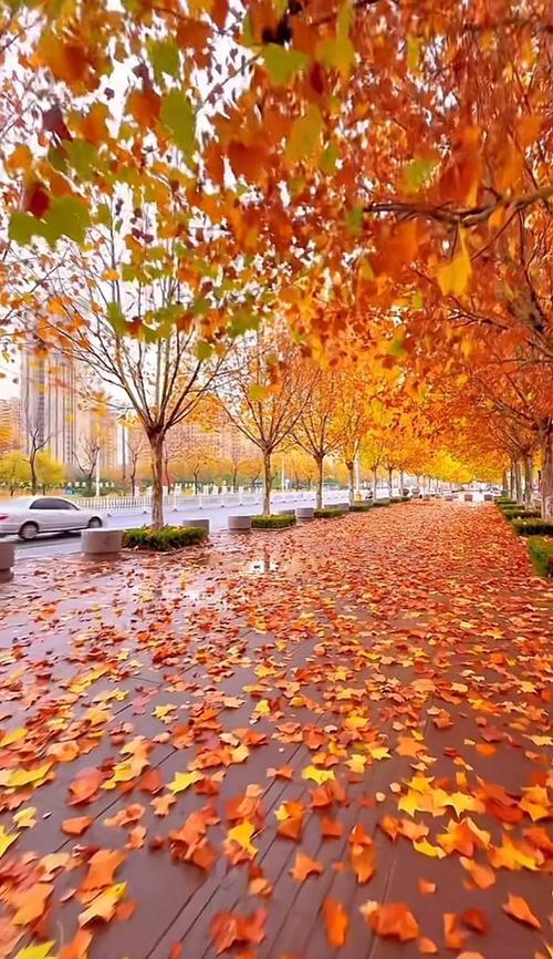 秋初，遇见高原的风  第1张