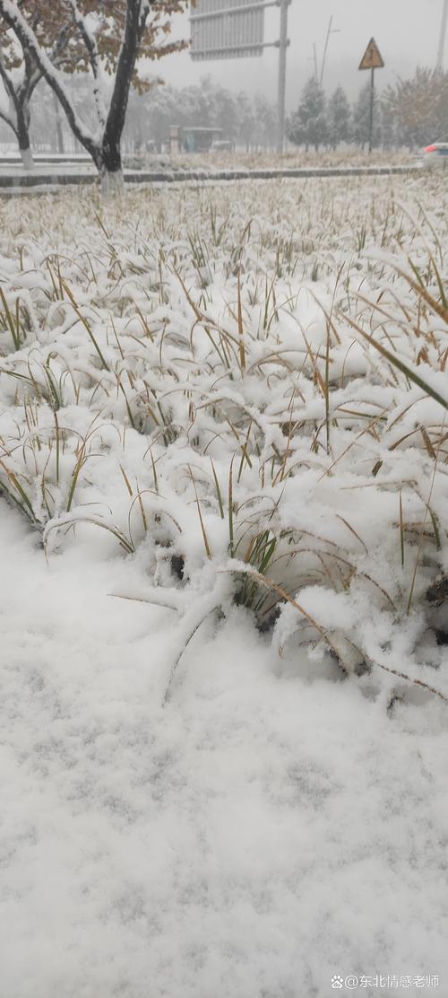 雪花飘飘  第1张