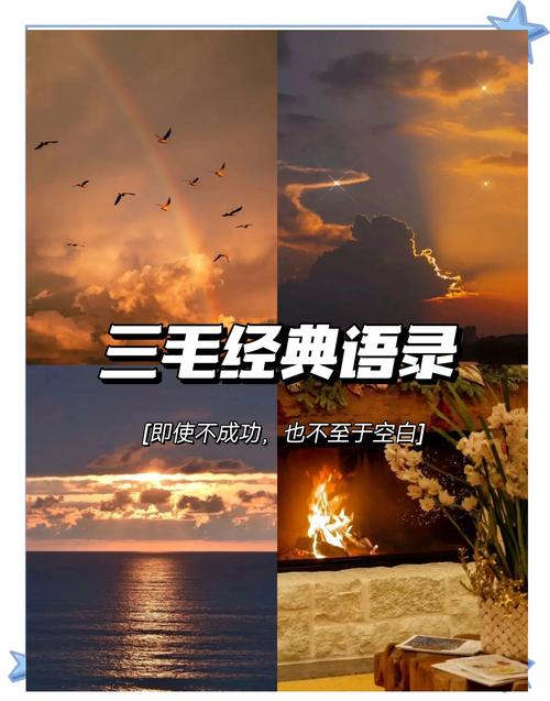 三毛的10句暖心语录,照亮你的一天,说出人生真谛 第1张 三毛的10句暖心语录,照亮你的一天,说出人生真谛 第1张