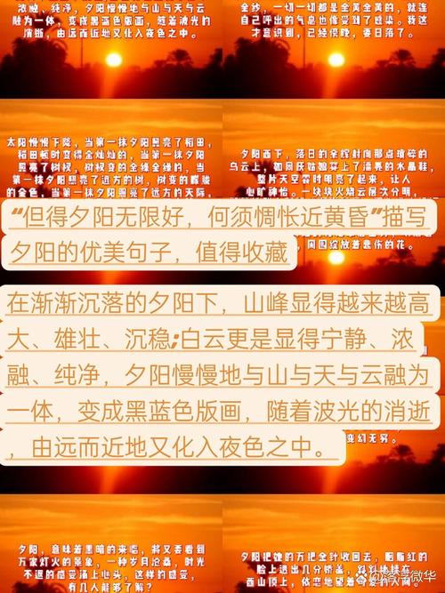 有关夕阳的优美句子精选  第1张