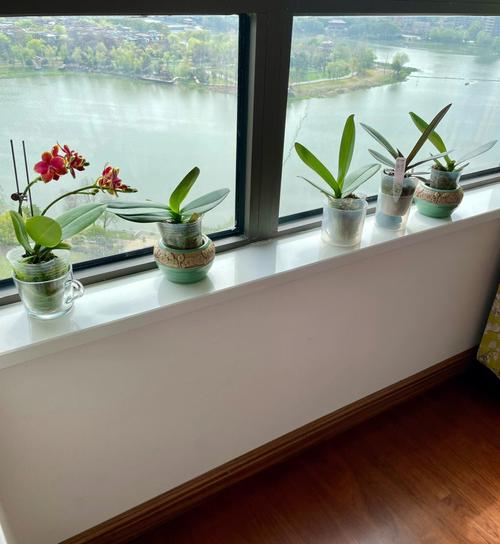 在十楼的窗台  第1张