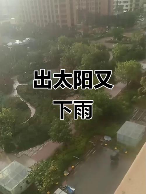 那一场太阳雨  第1张