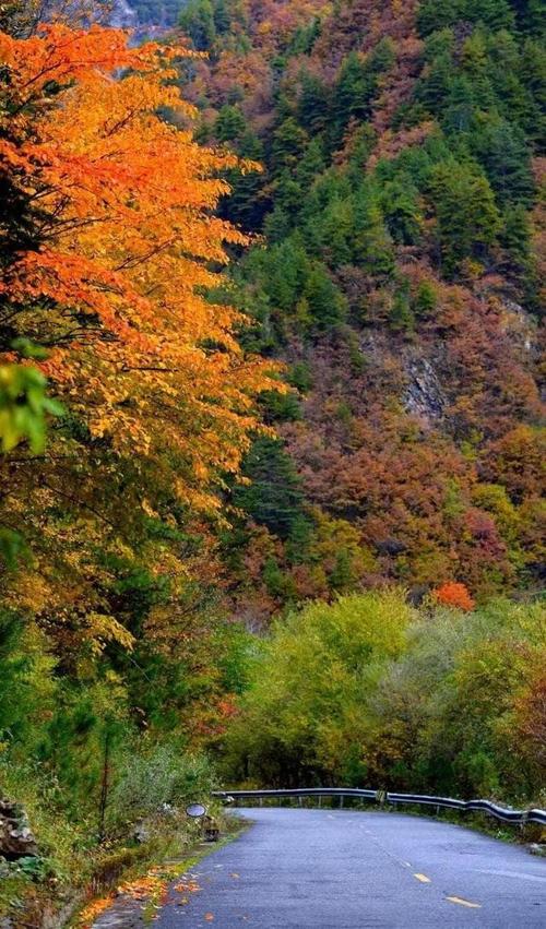 落幕下的秋 第1张 落幕下的秋 第1张