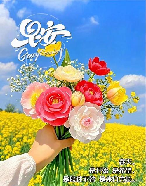 邀请春天阳光进来  第1张