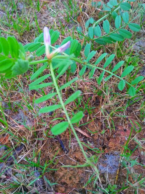 零星点点 第1张 零星点点 第1张