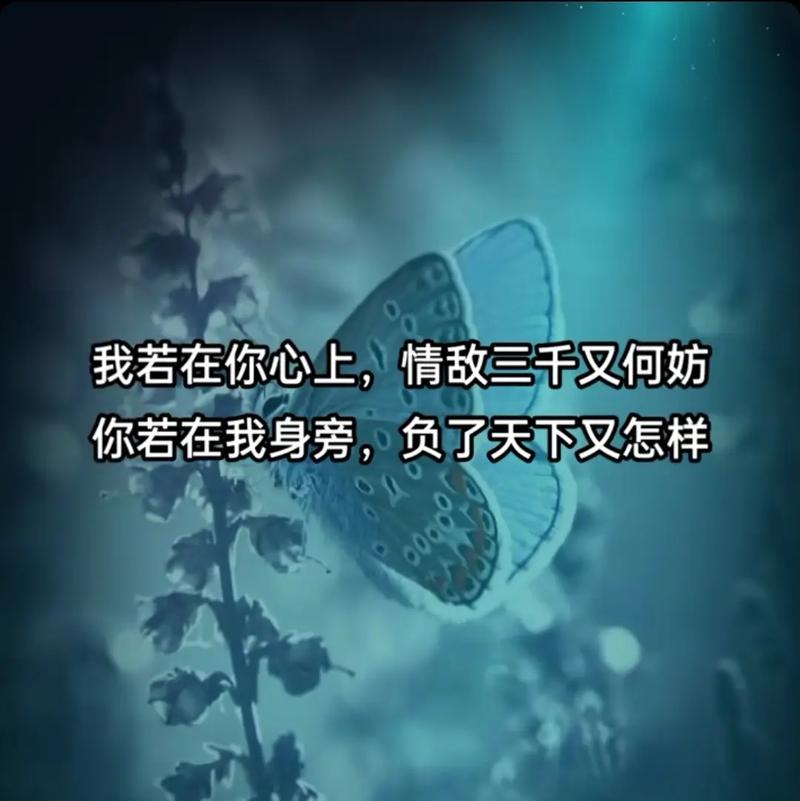 情敌在对面 第1张 情敌在对面 第1张