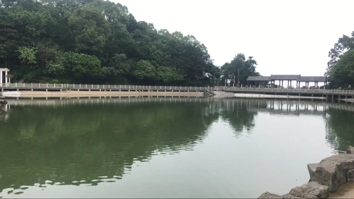 真假是非  第1张