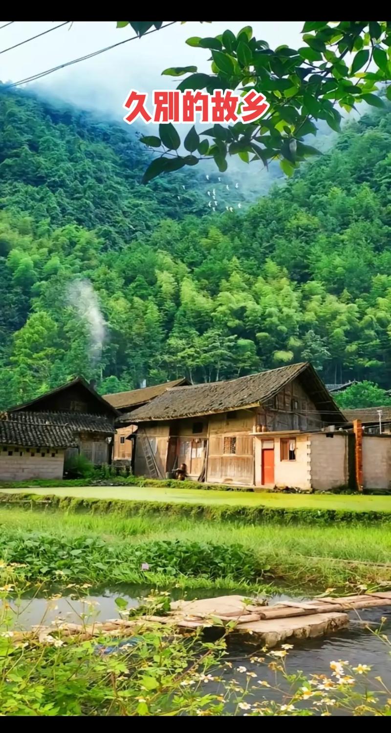久别的故乡  第1张