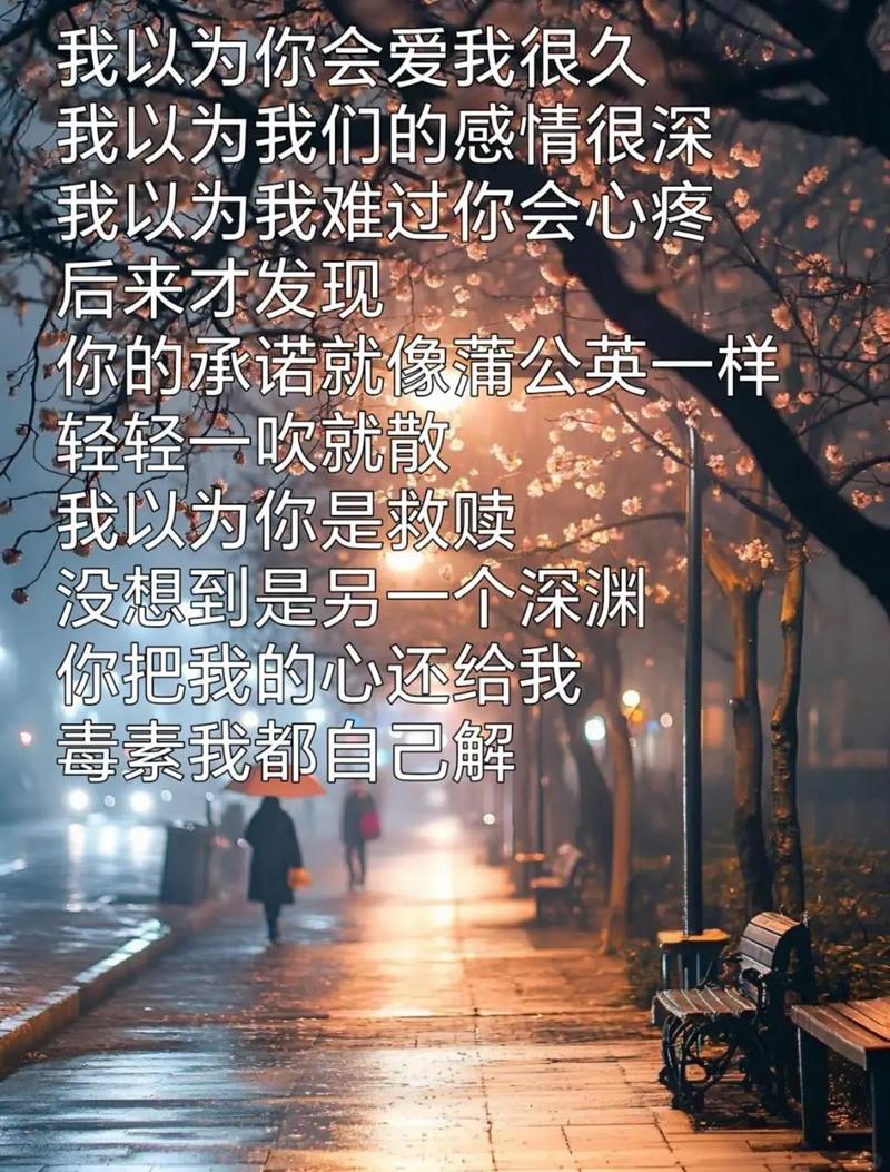 心酸的浪漫 第1张 心酸的浪漫 第1张