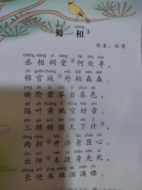 一寸相思几寸灰  第1张