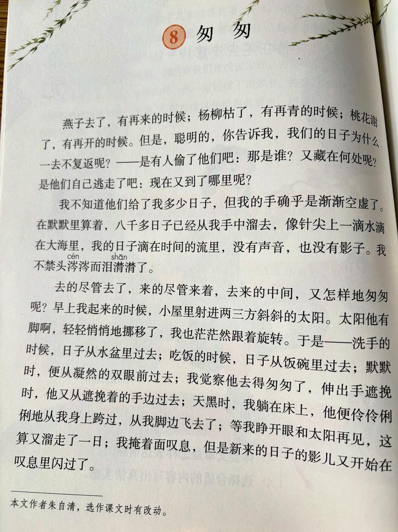 夏雨来去匆匆 第1张 夏雨来去匆匆 第1张