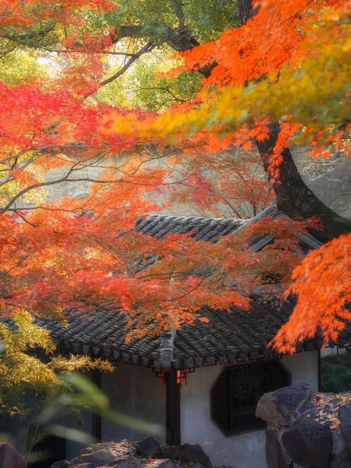 秋意枫韵 第1张 秋意枫韵 第1张