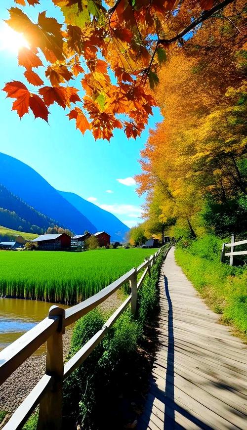 秋野漫步  第1张