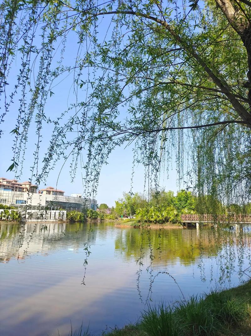 沐浴春色不负春光  第1张