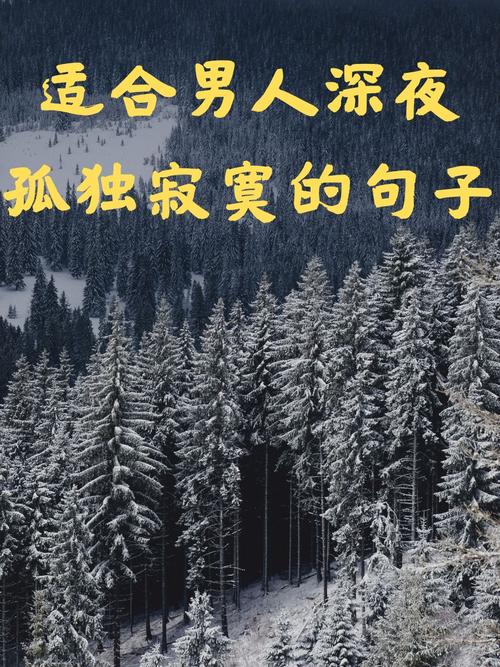 寂寞的夜，寂寞的心  第1张