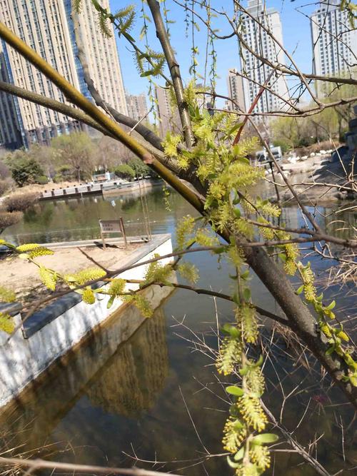 春之畅想 第1张 春之畅想 第1张