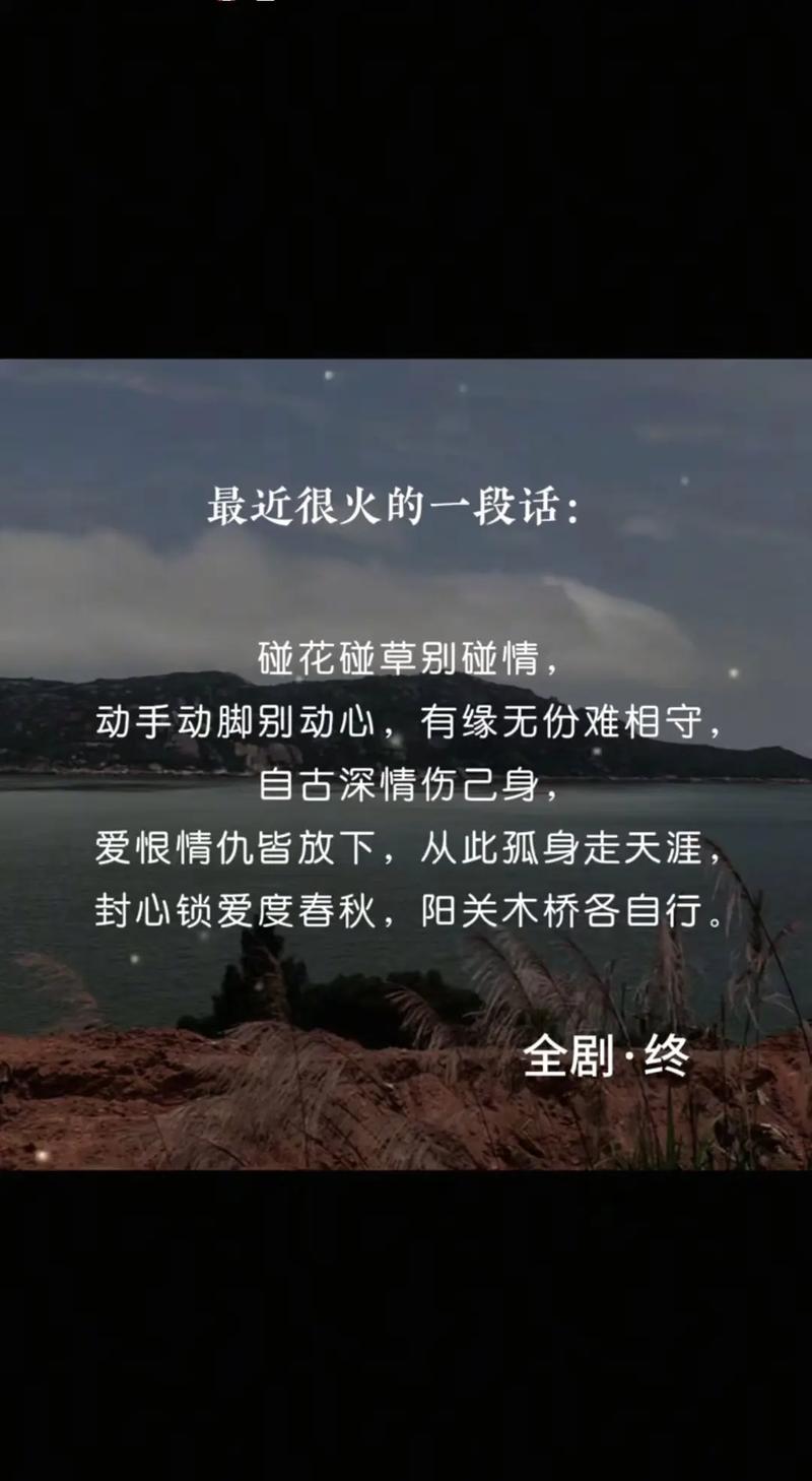 伤了心，别伤了情  第1张